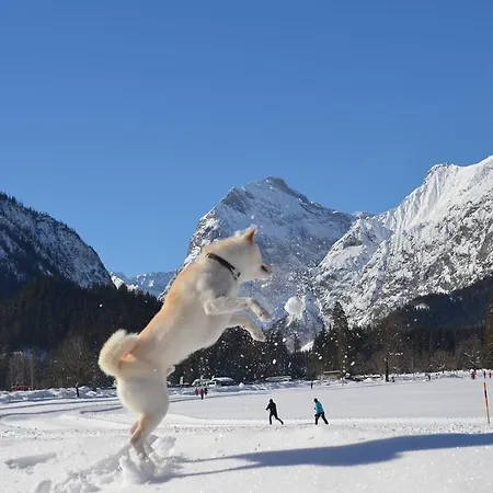 Am Achensee 아파트 *