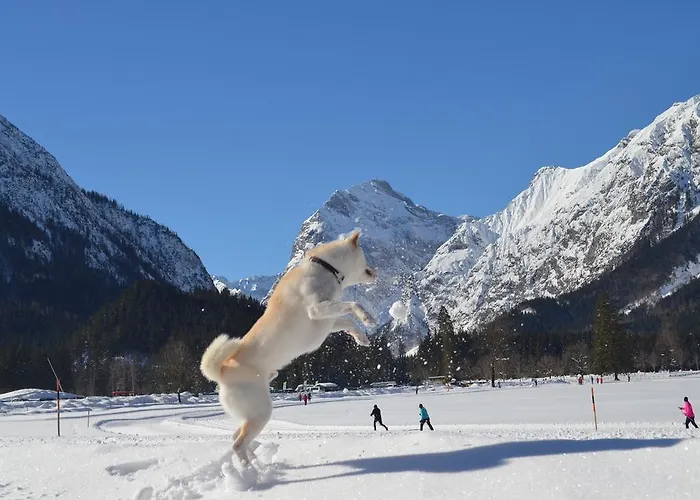 Am Achensee Daire *